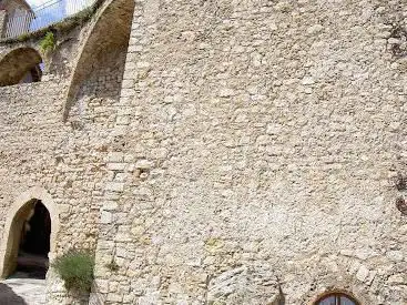 Photo de Tourist Bargemon