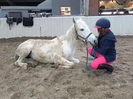 Photo de Debuf Anja Ruitersclub Meersdale