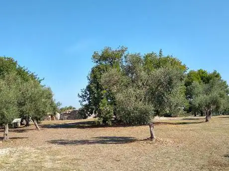 Photo de Dolmen di San Silvestro