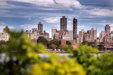 Photo de Socrates Sculpture Park