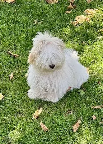 Photo of Loisirs à la ferme