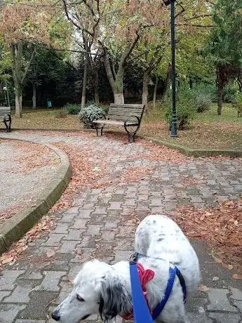 Photo de Barış Parkı