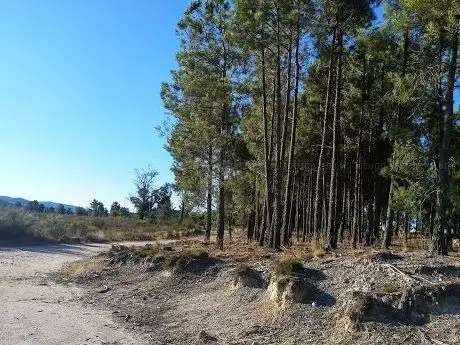 Photo de Outeiro Machado