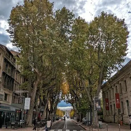 Photo de Intrigue dans la ville