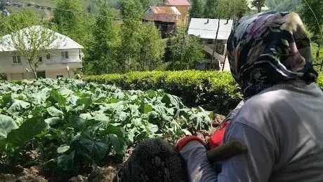 Photo de Çocuk Parkı