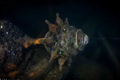 Photo de Unique Dive & Travel