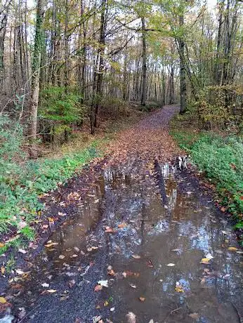 Photo de Sentier Nature des Bois de Seresville