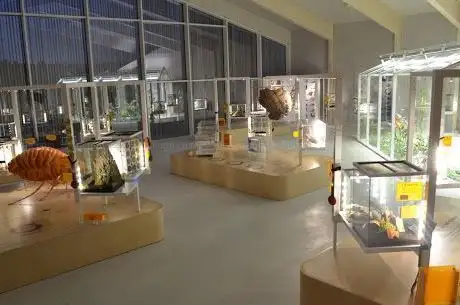 Foto de la Maison des insectes