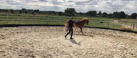 Photo de Le Logis des Cavaliers