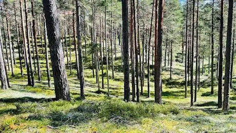 Photo de Kotjärnsterrasen