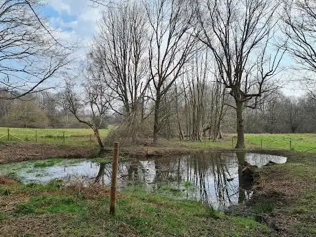 Photo de Weald Park Iron Age Hillfort