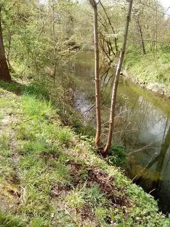 Photo de ATELIER MALATELIER MARLIES STEINER