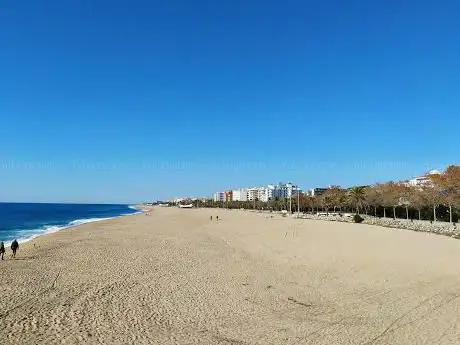 Photo de Platja de Calella