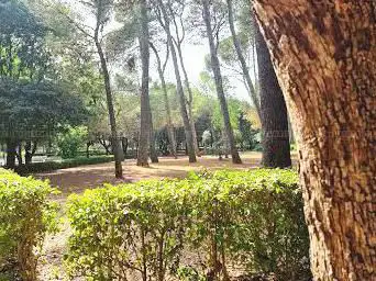 Photo de Parc-bosc Municipal