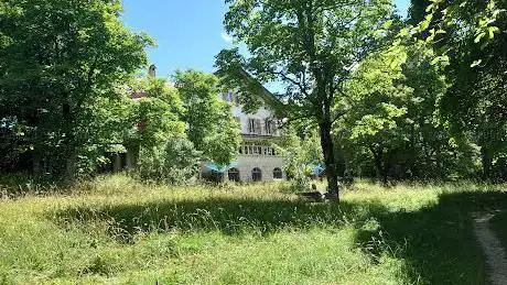 Photo de Vipassana Dhamma Sumeru