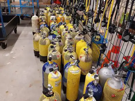 Photo de FEDERACIÓN GUIPUZCOANA DE ACTIVIDADES SUBACUÃTICAS