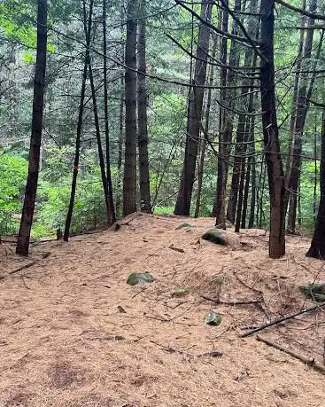 Photo de Granville State Forest