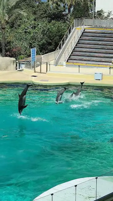 Photo de Marineland Lagoon