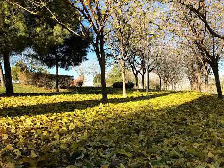 Photo de Municipal Park