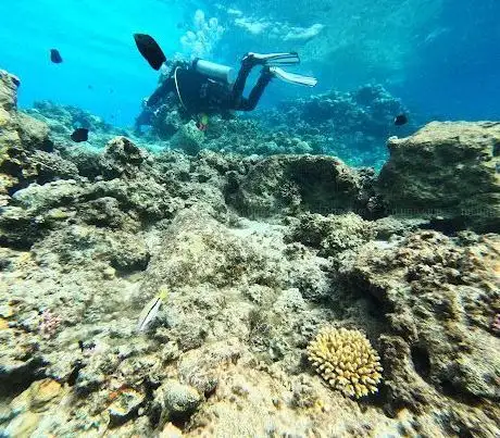 Photo de Red Sea Adventure