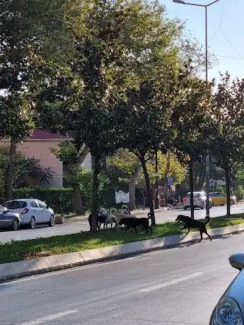 Photo de B-2 Blok Parkı