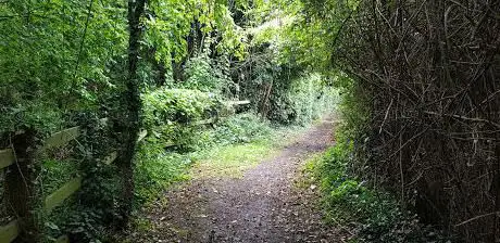 Photo de Bloors Lane Community Woodland