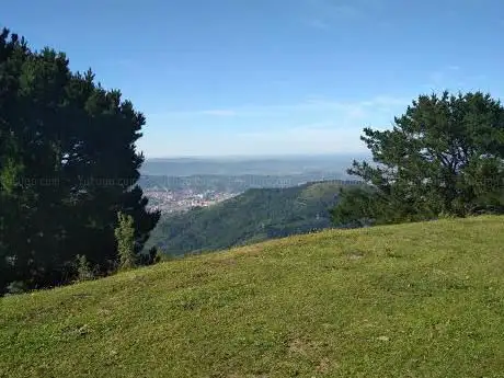 Photo de Pastorekorta