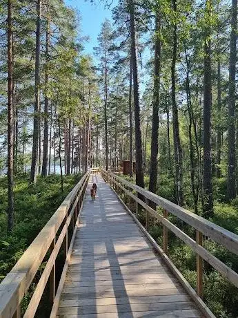 Photo de Södra Brunnsjöns rastplats  Uskavi rundslinga. Tillgänglighetsanpassad.
