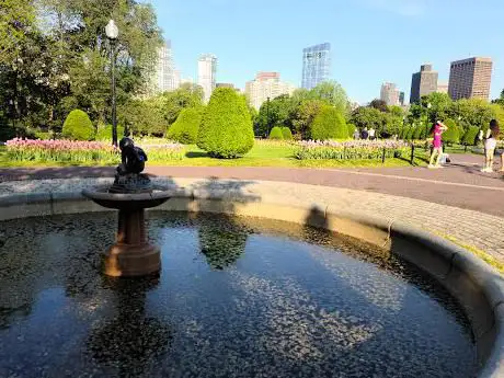 Photo de Public Garden