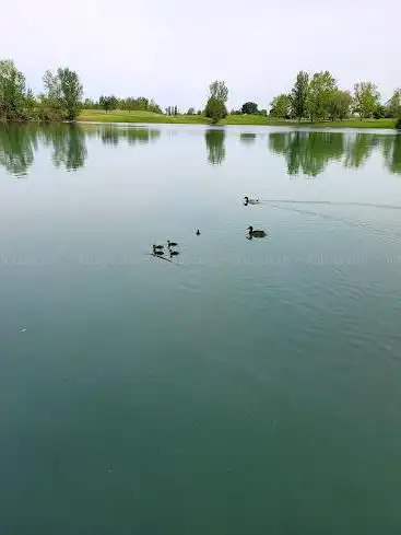Photo de Ramée ponton