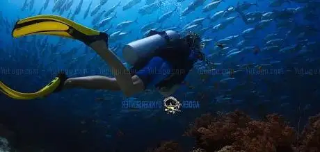 Photo de agder diving center