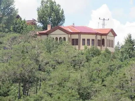 Photo de Kadıpınarı Tabiat Parkı
