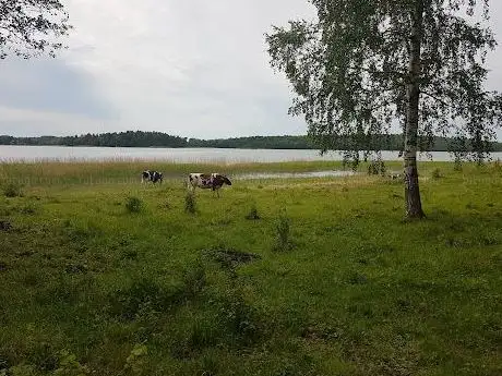Photo de Lindholmen