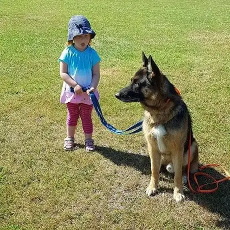 Photo de Sportplatz Am Lauersberg