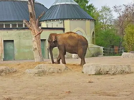 Photo de Zoo de Munich