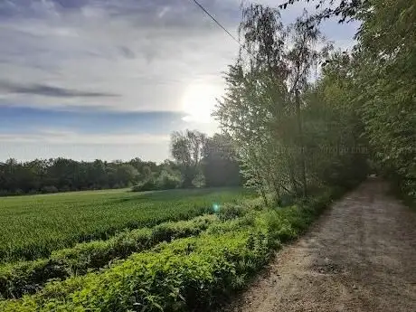 Photo de Becklemer Busch