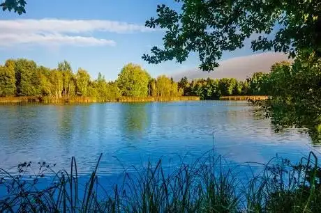 Photo de Velký lesní rybnik