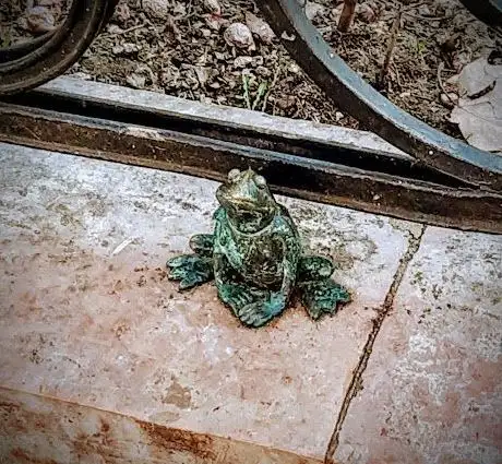 Photo de Frog Breki mini statue by Kolodko