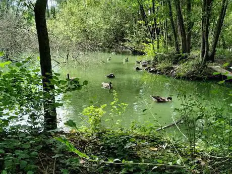 Photo de Nature Oasis Of Quadris