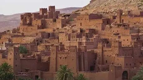 Photo de Perfect Travel Excursions