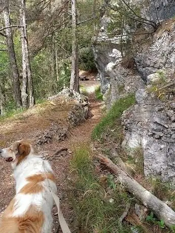 Photo de Stollen Rundwanderweg Start