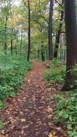 Photo de Kempens Landschap - Heidehuizen