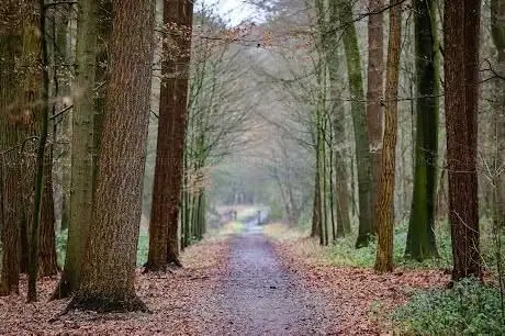 Photo de Historischer Tiergarten Velen