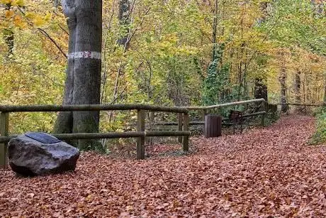 Photo de Felsenmeer am Steg