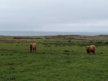 Photo de Longhaven Cliffs Nature Reserve