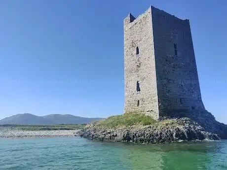 Photo de Fenit Sea Safari