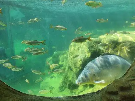 Photo of Aquarium Périgord Noir