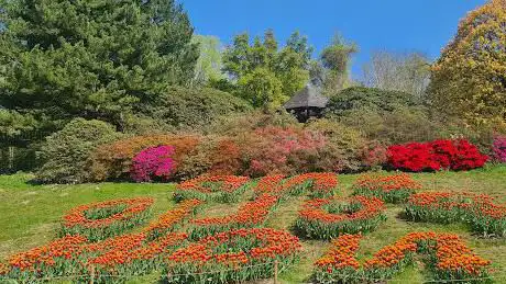 Photo of Rombergpark Botanical Garden