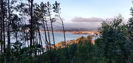 Photo de Merendeiro de Monteferro