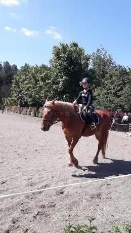 Photo de Haras de la Ferme des Hospices